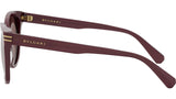 B.zero1 Bordeaux Butterfly Sunglasses