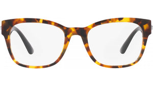 VE3314 5119 tortoise