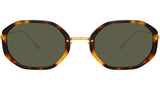 Tayler C2 Tortoiseshell