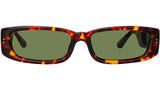 Talita C2 Tortoiseshell