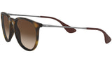 Erika Classic RB4171 matte tortoise