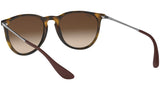 Erika Classic RB4171 matte tortoise