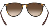 Erika Classic RB4171 matte tortoise