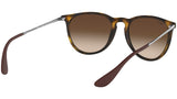 Erika Classic RB4171 matte tortoise