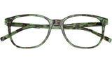 DG 3426 3439 Havana Green