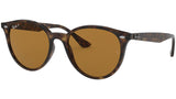 RB4305 710/83 light havana