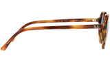 Thalia RB2195 954/62 striped havana