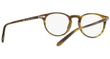 Riley-R OV5004 moss tortoise