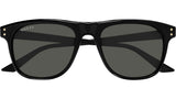 GG1893S 001