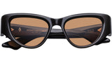 Seymour Walnut