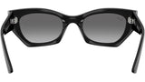 Zena RB4430 667711