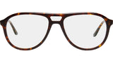 Aria Nocturne Tortoise